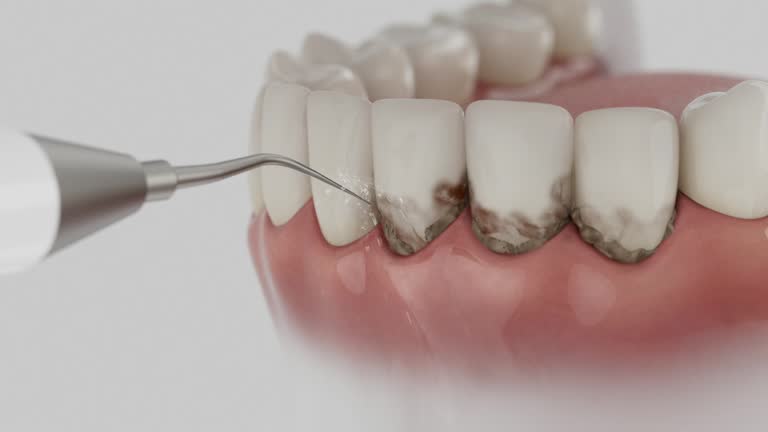 Reliable Dental contractor in Harrisville, PA by Dentist Open Now